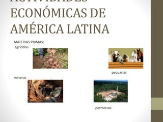 ACTIVIDADES
ECONÓMICAS DE
AMÉRICA LATINA
MATERIAS PRIMAS:
agrícolas
pecuarias
mineras
petroleras
 