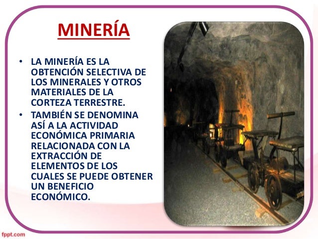 Actividades económicas del sector primario