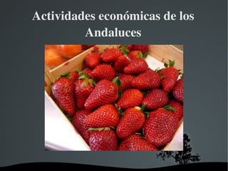 Actividades económicas de los Andaluces 