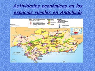 Actividades económicas en los espacios rurales en Andalucía 