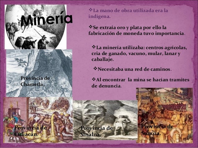 Actividades económicas en sinaloa durante el virreinato