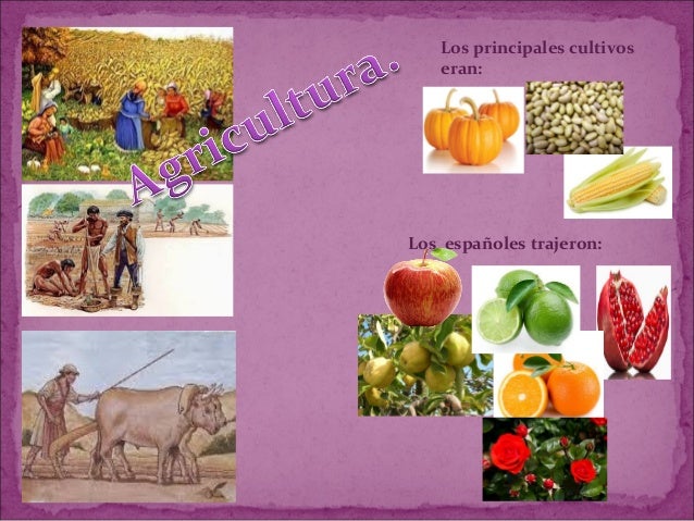 Actividades económicas en sinaloa durante el virreinato