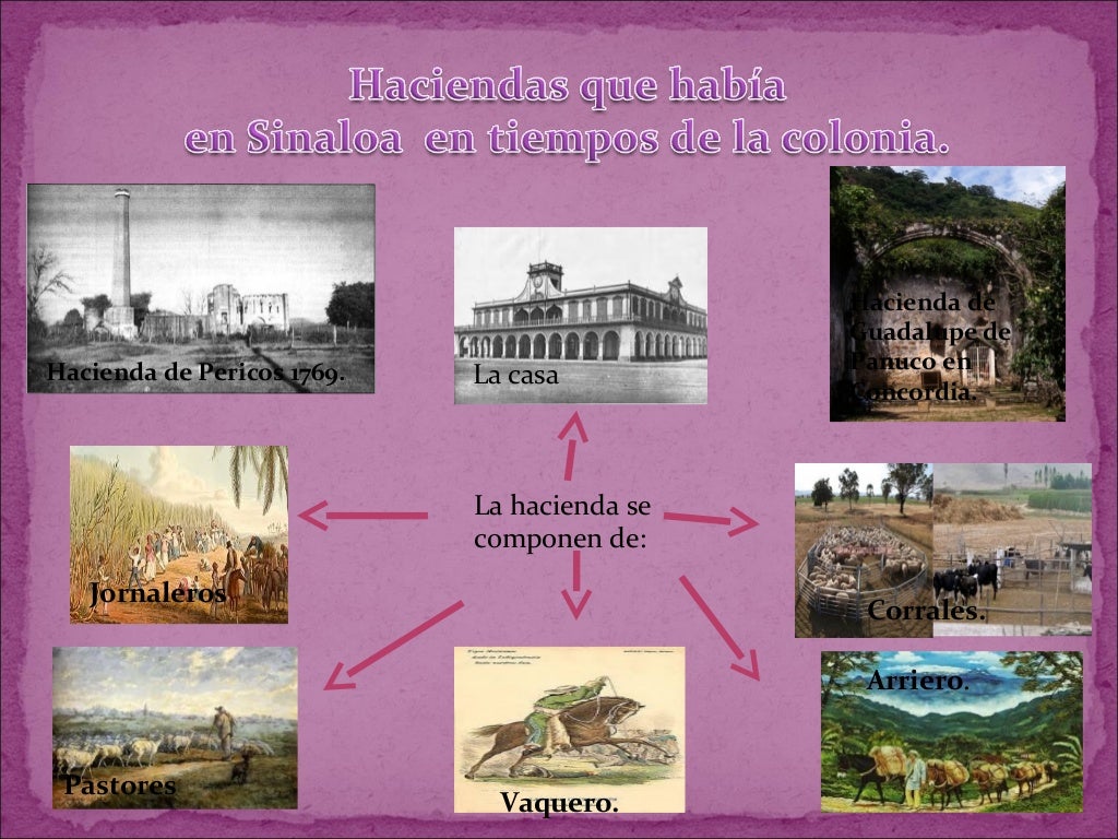 Actividades económicas en sinaloa durante el virreinato