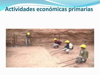 Actividades económicas primarias

 