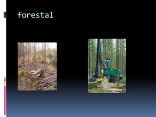 forestal