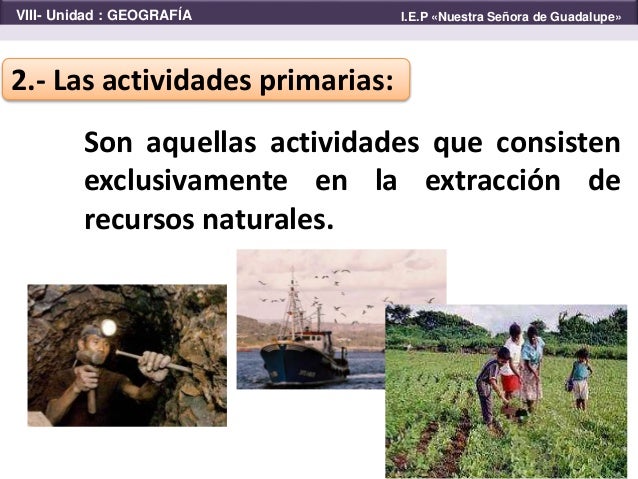 Actividades económicas primarias