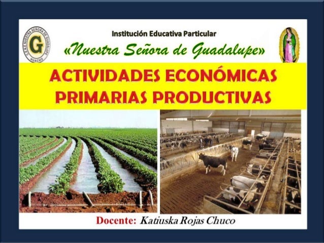 Actividades económicas primarias productivas