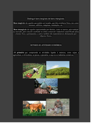 Distinguir bens tangíveis de bens intangíveis:

Bens tangíveis são aqueles que podem ser tocados, que têm existência física, tais como
                    terrenos, edifícios, máquinas, instalações, etc.

 Bens intangíveis são aqueles representados por direitos, como as marcas, pela tradição
no mercado, pelo conceito usufruído na esfera comercial e industrial corporificado pelos
   clientes fixos e permanentes e outros também não materializáveis diretamente por
                                    objectos físicos.



                       Setores de atividade económica


- O primário: que compreende as atividades ligadas à natureza, como sejam a
agricultura, a silvicultura, as pescas, a pecuária, a caça ou as indústrias extrativas;
 