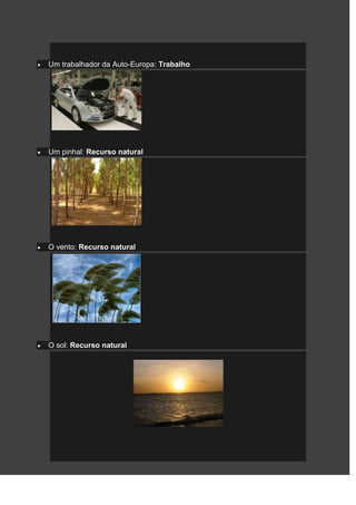 Um trabalhador da Auto-Europa: Trabalho




Um pinhal: Recurso natural




O vento: Recurso natural




O sol: Recurso natural
 