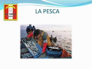 LA PESCA<br />