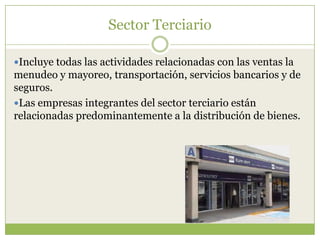 Sector Terciario

Incluye todas las actividades relacionadas con las ventas la
menudeo y mayoreo, transportación, servicios bancarios y de
seguros.
Las empresas integrantes del sector terciario están
relacionadas predominantemente a la distribución de bienes.
 