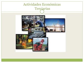 Actividades Económicas
       Terciarias
 
