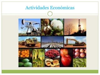 Actividades Económicas
 