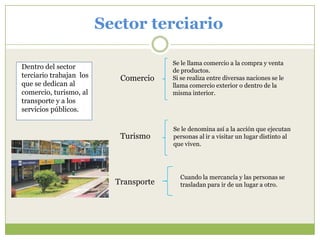 Sector terciario

                                        Se le llama comercio a la compra y venta
Dentro del sector
                                        de productos.
terciario trabajan los      Comercio    Si se realiza entre diversas naciones se le
que se dedican al                       llama comercio exterior o dentro de la
comercio, turismo, al                   misma interior.
transporte y a los
servicios públicos.

                                        Se le denomina así a la acción que ejecutan
                            Turismo     personas al ir a visitar un lugar distinto al
                                        que viven.




                                          Cuando la mercancía y las personas se
                           Transporte     trasladan para ir de un lugar a otro.
 
