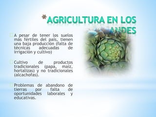 A pesar de tener los suelos
más fértiles del país, tienen
una baja producción (falta de
técnicas adecuadas de
irrigación y cultivo)
Cultivo de productos
tradicionales (papa, maíz,
hortalizas) y no tradicionales
(alcachofas).
Problemas de abandono de
tierras por falta de
oportunidades laborales y
educativas.
 