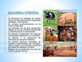 Se desarrolla en establos de crianza
con el uso de mano de obra capacitada
(zoólogos, veterinarios)
Se acentúa preferentemente en la
Costa y Selva Alta
Los animales son de gran producción
debido al uso de alimento balanceado
y vitaminas para su optimización.
Es selectiva (importación de especies
reconocidas productoras en el mundo)
Se destina a la producción de
alimentos de consumo indirecto.
Se utilizan técnicas avanzadas de
crianza y alimentación de animales,
esto en base a la inversión economía
por parte de capitales privados.
Destaca en la producción de aves de
corral y ganado vacuno.
 
