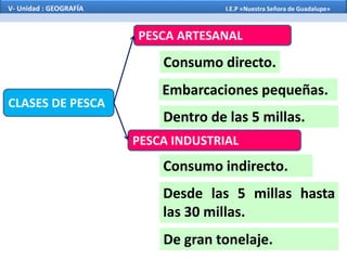 CLASES DE PESCA
PESCA ARTESANAL
PESCA INDUSTRIAL
Consumo directo.
Embarcaciones pequeñas.
Consumo indirecto.
Desde las 5 millas hasta
las 30 millas.
Dentro de las 5 millas.
De gran tonelaje.
V- Unidad : GEOGRAFÍA I.E.P «Nuestra Señora de Guadalupe»
 
