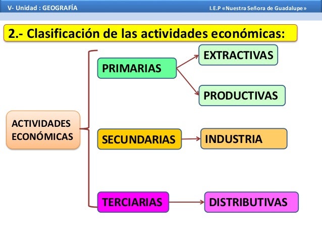 Actividades economicas
