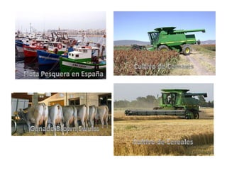 Actividades economicas de europa