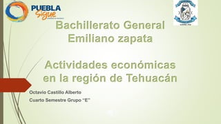 Bachillerato General
Emiliano zapata
Actividades económicas
en la región de Tehuacán
Octavio Castillo Alberto
Cuarto Semestre Grupo “E”
 