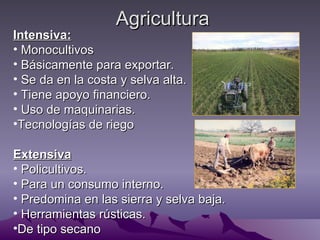 Agricultura
Intensiva:
• Monocultivos
• Básicamente para exportar.
• Se da en la costa y selva alta.
• Tiene apoyo financiero.
• Uso de maquinarias.
•Tecnologías de riego

Extensiva
• Policultivos.
• Para un consumo interno.
• Predomina en las sierra y selva baja.
• Herramientas rústicas.
•De tipo secano
 
