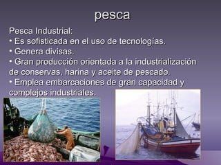 pesca
Pesca Industrial:
• Es sofisticada en el uso de tecnologías.
• Genera divisas.
• Gran producción orientada a la industrialización
de conservas, harina y aceite de pescado.
• Emplea embarcaciones de gran capacidad y
complejos industriales.
 