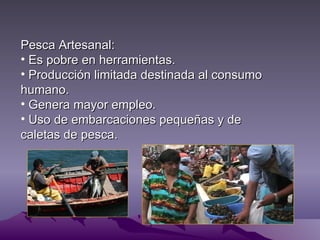 Pesca Artesanal:
• Es pobre en herramientas.
• Producción limitada destinada al consumo
humano.
• Genera mayor empleo.
• Uso de embarcaciones pequeñas y de
caletas de pesca.
 