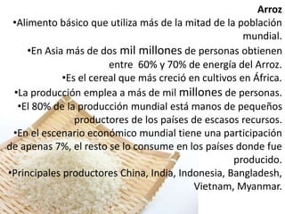 Arroz 
•Alimento básico que utiliza más de la mitad de la población 
mundial. 
•En Asia más de dos mil millones de personas obtienen 
entre 60% y 70% de energía del Arroz. 
•Es el cereal que más creció en cultivos en África. 
•La producción emplea a más de mil millones de personas. 
•El 80% de la producción mundial está manos de pequeños 
productores de los países de escasos recursos. 
•En el escenario económico mundial tiene una participación 
de apenas 7%, el resto se lo consume en los países donde fue 
producido. 
•Principales productores China, India, Indonesia, Bangladesh, 
Vietnam, Myanmar. 
 