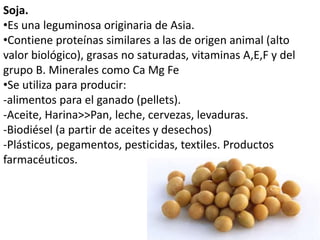 Soja. 
•Es una leguminosa originaria de Asia. 
•Contiene proteínas similares a las de origen animal (alto 
valor biológico), grasas no saturadas, vitaminas A,E,F y del 
grupo B. Minerales como Ca Mg Fe 
•Se utiliza para producir: 
-alimentos para el ganado (pellets). 
-Aceite, Harina>>Pan, leche, cervezas, levaduras. 
-Biodiésel (a partir de aceites y desechos) 
-Plásticos, pegamentos, pesticidas, textiles. Productos 
farmacéuticos. 
 