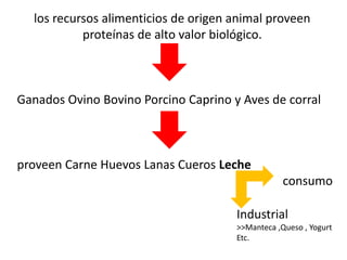 los recursos alimenticios de origen animal proveen 
proteínas de alto valor biológico. 
Ganados Ovino Bovino Porcino Caprino y Aves de corral 
proveen Carne Huevos Lanas Cueros Leche 
consumo 
Industrial 
>>Manteca ,Queso , Yogurt 
Etc. 
 