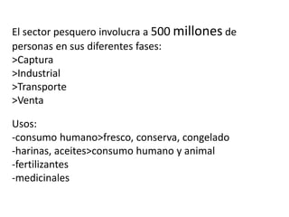 El sector pesquero involucra a 500 millones de 
personas en sus diferentes fases: 
>Captura 
>Industrial 
>Transporte 
>Venta 
Usos: 
-consumo humano>fresco, conserva, congelado 
-harinas, aceites>consumo humano y animal 
-fertilizantes 
-medicinales 
 
