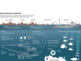 Actividades económicas.