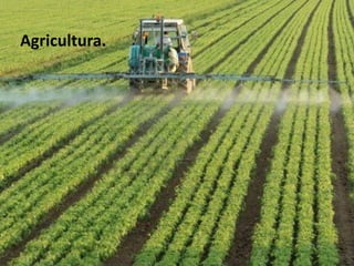 Agricultura. 
 