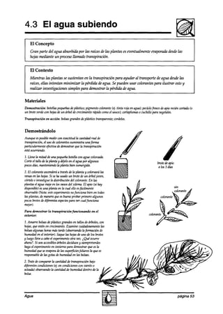 4.3 El agua subiendo
    El Concepto
    Gran parte del agua absorbida por las raíces de las plantas es eventualmente evaporada desdelas
    hojas mediante un proceso llamado transpiración.


    El Contexto
    Mientras las plantas se sustentan en la transpiración para ayudar al transporte de agua uha2 las
    raíces, ellas intentan minimizar la pérdida de agua. Se pueden usar colorantes para ilustrar esto y
    realizar investigaciones simples para demostrar la pérdida de agua.


Materiales
Demostración:  botellaspequeñas plástiw; pigmento colorante(ej. tinta roja en agua);pecíolofksco deapio reciénwrtado (o
                               de
un broteverdecon hojasde un árbol de crecimientorápido comoel sauce);cortaplumaso cuchillo para vegetales.
Transpiración   en acción: bolsasgrandesde phístiw transparente;wrdeles.


Demostrándolo
Aunque esposiblemedir con exactitud la cmztidadreal de
transpiración,el uso de colorantessuministra unaforma
particuLarmente f$ectma demostrar9ue la transpiraciún
                         de
estáocurrienao.
1. Llene la mitad de una pequeñabotellacon agua wloreada.
Corte el tallo de la planta y déjeloen el aguapor algunos                                    brotede apio
pocosahs,    manteniendoInplanta bien sumergida.                                              alos3días
2. El coloranteascenderá travésde la planta y colorearálas
                          a
venasen las hojas.Si seha usadoun brotede un árbol joven,
córteloe investigue la distribución del colorante.En las
plantas el agua majaen los vasosdel xilema. El apio (si hay
disponible)esuna planta en la cual ello esfácilmente                                                           sin
obsemable   (Nota: esteexperimentonofunciona bien en todas                                                     colorante
las plantas, de maneraqueesbuenoprobar primero algunos                                           colorante
pocosbrotesde aife0h especies ver cualj5mciona
                                   para
mjor).                                                                                                    ti
Para demostrar la transpkación~ncionando          en el
exterior:                                                                               wlorante
                                                                                                   --id
1. Amarre bolsasde plásticograndesen tallos de árboles,wn
                                                                                             L
hojas,9ueesténen crecimiento.Examine cuiakdosamente      las
bolsasalgunashoras mástarde ~obsewando fkmxión de
                                           la
humedaden el interior-J Saquelas hojasde uno de los brotes
y luego llevea caboel experimentootra vez. i Qué ocurre
ahora?.Si son accesiblesarbolesdeciduosy siempr~erdes
hagael experimentoen invierno para demostrarque esla
humedadqueseevaporade las superficies   foliares la que es
responsable las gotasdehumedaden tas bolsas.
            de
2. Tratedecompararla cantidad de transpiraci6n bajo
diferentes
       condiciones(ej,en condicionescon viento 0           ,
soleada)
       obviando la cmztidd de humedaddentro de la
bolsa.




Agua                                                                                                             página 53
 