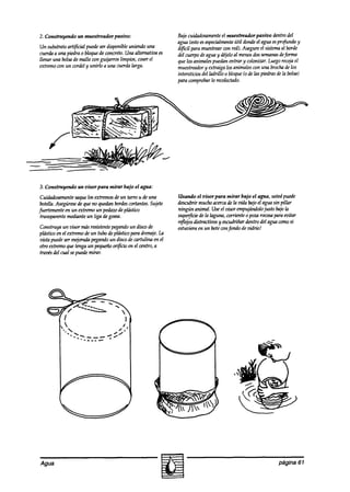 2. Construyendo   un muestreador pasivo:                    Bajecuidadosamente muestreador pasivo dentro del
                                                                                     el
                                                            agua (estoesespehhente útil dondeel agua esprofunda y
Un substratoart$icial puedeser disponibleuniendo una        difícil para muestrearcon red).Asegureel sistema al borh
cuerdaa una piedra o bloquede concreto.Una alternativa es   del cuerpodeagua y déjeloal menosdossemanas         dejbrma
llenar UM bolsade malla wn guijarros limpios, coserel       que los animalespuedan entrar y colonizar. Luegorecojael
extremown un wrdel y unirlo a una wda larga.                muestreador extraiga los animalescon una brochade 10s
                                                                          y
                                                            intersticios del ladrillo o bloque(0 de las piedrasdela bolsa)
                                                            para comprobarlo recolectado.




3. Construyendo   un visor para mirar bajo el agua:
 Cuidadosamente saquelos extremosde un tarro u de una       Usando el visor para mirar bajo el agua, ustedpuede
 botella.Asegúrese que no que& bordes
                 de                     cortantes.Sujete    descubrir muchoacerende la zGda el agua sin pillar
                                                                                               hjo
júertementeen un extremoun pedazodephístico                 ningún animal. Useel visor empujándolo    justo bajoh
 transparentemedianteun liga degoma                         supe@ie de la laguna, corriente o pozarocosaparaem’tar
                                                            reflejosdistractivos y escudriñar dentro del aguacomosi
Construya un visor nuís resistentepegandoun discode         estuviera en un boteconfondo de vidrio!
plástico en el extremoaTe tubo de plásticopara drenaje.La
                        un
vista puedeser mejorada pegandoun discodecartulina en el
otro extremoque tenga un pequeñoor$cio en el centro, a
trati del cual sepuedemirar.




Agua                                                                                                          página 61
 
