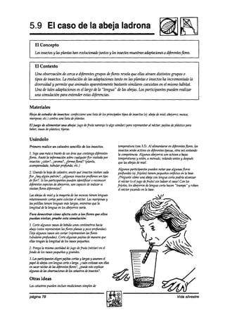 5.9 El caso de la abeja ladrona
    El Concepto
    Los insectosy las plantas han eoolucionah juntos y losinsecf0.s
                                                                 muestran adaptaciones d~ferentesflores.
                                                                                     a


    El Contexto
    Una observación de cerca a di@rentes
                                       grupos dejores revela que ellas atraen distintos grupos o
    tipos de insectos. Lu evolución de las adaptaciones tanto en las plantas e insectos ha incrementado la
    diversidad y permite que animales aparentemente bastante similares coexistan en el mismo hábitat.
    Una de tules adaptaciones es el largo de la “lengua” a’elas ab+s. Los participantes pueden realizur
    una simulación para entender estas dijérencias.


Materiales
Hoja de estudio de insectos: confeccione 1Lsta los principales tipos de insectos(ej. awa de miel; abejorro;mosca;
                                          una de
mariposa;etc.) contra una lista deplmtas.
El juego de alimentar   una abeja: jugo dejhta naranja (o algo similar) para representaral néctar; pajitasde plástico para
     vasosde plástiw;
beber;              tijeras.

Usándolo
Primero realice un catastro sencillo de los insectos.             temperatura(vea3.5). Al alimentarseen difetentesjlores,los
                                                                  insectosseránactivosen difeentes épocas, vez euitando
                                                                                                           otra
 1. Siga una ruta a travésde un áreaque contengad#rentes          la competencia. Algunos abejorrosson activos a bajas
flores. Anote la información sobrecualquierflor visitada por      temperaturas están,a menudo,volandoantesy después
                                                                               y
 insectos: color?, iaroma?, &rmafloral? (planta,
          i                                                       que las ab#s de miel.
 acampanulada,   tubular prí@aYa, etc.)
                                                                   Algunos participantespuedennotar 9uealgunasj7ores
 2. Usandola hoja de catastro,anote9ué insectosvisitan cada        profundas (+fnioles) tienen pequeños     oriis en la base.
f7or jhay algún patrón?, ialgunos insectospre$erenun tipo          iPregunte cómouna abqa con lengua wrta podría alcanzar
 deflor?. Si los participantespuedenidentificar o reconocer        el néctar (0 el jugo defruta) sin ladearel vaso! Con los
 diferentesespecies abejorros, capaces indicar si
                     de         son          de                   fijoles, los abq’orrosde lengua corta hacen“trampa” y roban
 visitanflores diferentes?.                                        el néctar picandoen fa base.
Lasabejas miel y la mayoríade las moscas
            de                              tienen lenguas
relativamentewrtas para colectarel néctar.Lasmariposas  y
las polillas tienen lenguasmáslargas, mientrasque In
longitud de la lengua en los abejorrosvark
Para demostrar cómo afecta esto a las flores que ellos
puedan visitar, pruebe esta simulación:

1. Cortealgunos vasosde bebidaunos centímetros    hacia
abajo(estos representanlasflores planas y pocoprofundas).
Dejealgunosvasossin cortar (representan   lasflores
tubularespr+zdas). Cortealgunas pajitas de manera9ue
ellas tenganla longitud de los vasospeque&.
 2. Pongala misma cantidaddejugo defruta (néctar)en el
fondo delos vasospe9ueños grandes.
                          y
3. Losparticipantes
                  eligenpaiitascortn.5 hrgas y asumen
                                     y               el
papeldeabqnsconlenguacortaoImga.jnrcínexitoswsonellas
en sumrnéctardelasdijkntesjlores?, i puede explicar
                                           esto
algunasdelasobsmmriaes a7e catastros insectos?.
                             los         de

Otras ideas
Los cxtastrospuedenincluir medicionessimplesde


página 78                                                                                                     vida silvestre
 