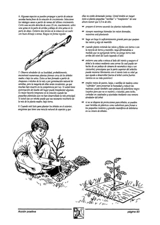 6. Algunas especies puedenpropagara partir deestacas
                    se                                         ellas no están demasiado
                                                                                      juntas. Usted tendrá un mayor
samias haciafines a7e estacióndecrecimiento.Seleccione
                      la                                       éxito si planta pequeñas
                                                                                      “varillas” 0 “trasplantes” de una
los vástagossanosa partir de ramasdel último crecimiento.      altura menor que 1,5 m de alto.
Corte una secciónderechade unos 25 cm, exactamente,  sobre
                                                                  prepareel terrenosacando plantas indeseables
                                                                                          las
una yemaen la parte de arriba y debajo otra yemaen la
                                       de
parte de abajo.Entierre dos terciosdela estaca un suelo
                                             en                   siempremantengahúmedaslas raícesdesnudas,
con buen drenajeo arena. Riegueenforma regular.                   mientras estáplantando
                                                                  haga un hoyo lo suficientemtmte
                                                                                                grande paraque quepan
                                                                  las raícesy algo de mantillo
                                                                  cuando plante extiendalas raícesyfijelas con tierra 0 con
                                                                  la mezclade tierra y mantillo, vaya afirmándolasa
                                                                  medidaque va agregandotierra; no ponga tierra más
                                                                  arriba del nivel del suelo tapando el tallo
                                                                  entierre una cañao estaca lado del viento y asegureel
                                                                                            al
                                                                  árbol a la estacamedianteuna correa(la cual puedeser
                                                                  hechode un peakw de cámarade neumáticoviejo o un
                                                                  cinturón); preocúpese la parte superior del arbolito
                                                                                        que
7. Observealrededorde su localidad,probablemente,                 puedamoverselibrementewn el viento (estoesvital ya
encontraránumerosas    plantasjovenescercade los árboles          que ayuda a desarrollar@rzz al árbol contrafuertes
madreo bajolos setos.Estossehan&mado a partir de                  vientos en su viak posterior)
chuponeso retoñosde la raíz o por genninacián natural de
semillas,pero la mayorh de ellas seránexcedentes, que
                                                  ya              empleerestosdepastos,hojas,0 astillas demaderacomo
muchashan muerto en la competencia luz. Si ustedtiene
                                       por                        “cubriaW’ parapreservarla humedady reducir las
autorización del dueño del lugar puedetrasplantar algunas.        malezas;puedetambiénusar pedazos polietileno negro
                                                                                                      de
Es mejorhacerlotempranoen la estacióncuandotas                    kijetos para queno sevuelen), 0 tejuelas,para techo,
pequeñas   plántulas aun no han desarrollado raíz principal.
                                            la                    cortadasen cuadrados ajustadasmedianteuna ranura
                                                                                       y
                                                                  alrededordel árbol
Si usted usa un retoñopuedequeseanecesario     recortarlode
la raíz de la planta madre,bajotierra.                            si no sedisponedeproteccionespara árboles, pueden
                                                                                                            se
8. Cuandoestélisto para plantar los árbolesen el exterior,        usar botellasdepldsticoscomosubstituto parafrenara
asegúrese tiene una mezclanatural deespecies que
        que                                       y               los pequeños roedores grandesmam+ros dedeleitarse
                                                                                       y
                                                                  en su vkrode árboles.




Acción positiva                                                                                               página 93
 