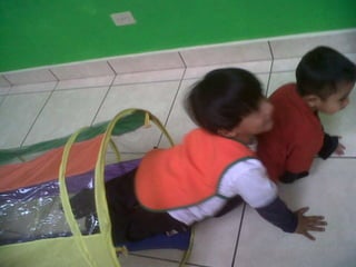 Actividades enero 2012