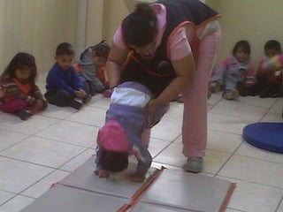 Actividades enero 2012