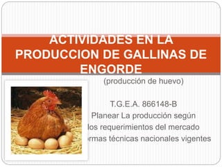 (producción de huevo)
T.G.E.A. 866148-B
Planear La producción según
los requerimientos del mercado
y normas técnicas nacionales vigentes
ACTIVIDADES EN LA
PRODUCCION DE GALLINAS DE
ENGORDE
 
