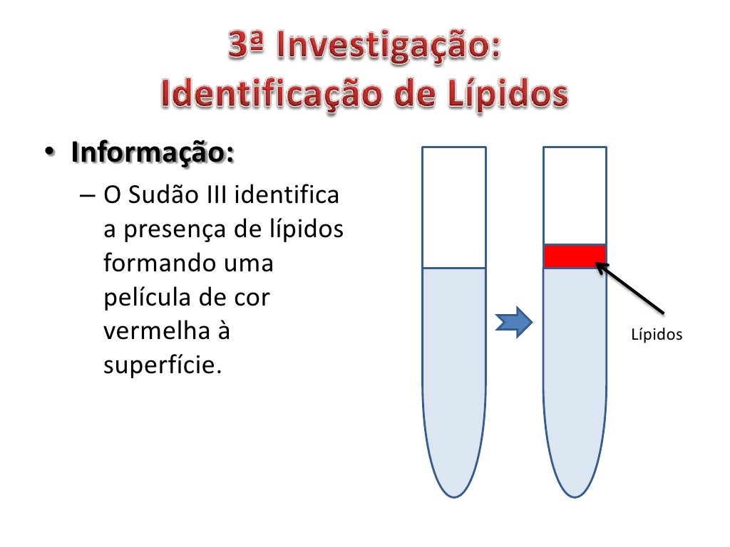 3ª Investigação:Identificação de Lípidos<br />Material e reagentes:<br />2 tubos de ensaio<br />Suporte de tubos de ensaio...