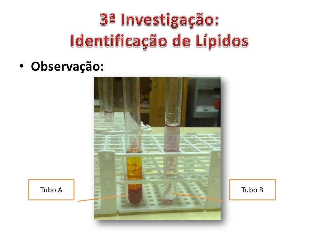 3ª Investigação:Identificação de Lípidos<br />Procedimento:<br />Identifica dois tubos de ensaio, com as letras A e B.<br ...