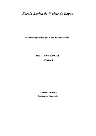 Escola Básica do 1º ciclo de Lagoa




  “Observação dos pulmões de uma vitela”




          Ano Lectivo 2010/2011
                 3º Ano A




             Trabalho colectivo
            Professora Fernanda
 