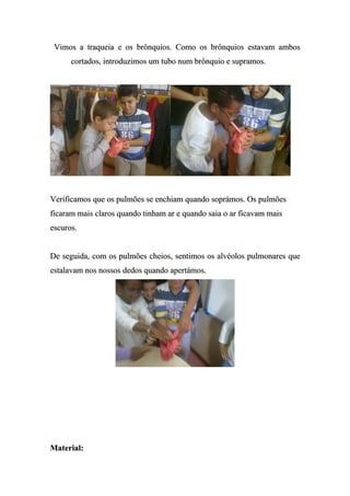Vimos a traqueia e os brônquios. Como os brônquios estavam ambos
      cortados, introduzimos um tubo num brônquio e supramos.




Verificamos que os pulmões se enchiam quando soprámos. Os pulmões
ficaram mais claros quando tinham ar e quando saia o ar ficavam mais
escuros.


De seguida, com os pulmões cheios, sentimos os alvéolos pulmonares que
estalavam nos nossos dedos quando apertámos.




Material:
 