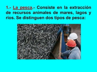 1.- La pesca.- Consiste en la extracción
de recursos animales de mares, lagos y
ríos. Se distinguen dos tipos de pesca:
 
