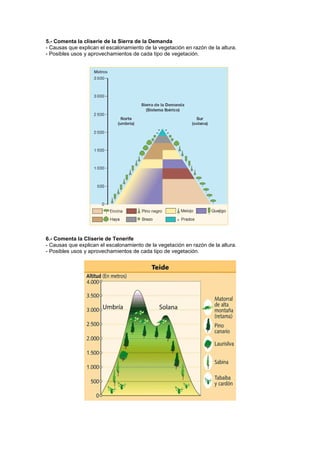 5.- Comenta la cliserie de la Sierra de la Demanda
- Causas que explican el escalonamiento de la vegetación en razón de la altura.
- Posibles usos y aprovechamientos de cada tipo de vegetación.




6.- Comenta la Cliserie de Tenerife
- Causas que explican el escalonamiento de la vegetación en razón de la altura.
- Posibles usos y aprovechamientos de cada tipo de vegetación.
 