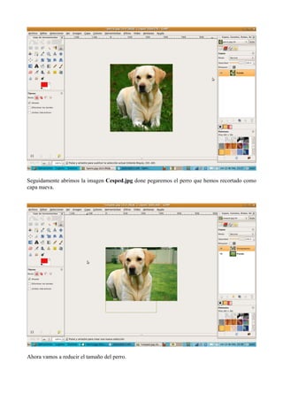 Seguidamente abrimos la imagen Cesped.jpg done pegaremos el perro que hemos recortado como
capa nueva.

Ahora vamos a reducir el tamaño del perro.

 