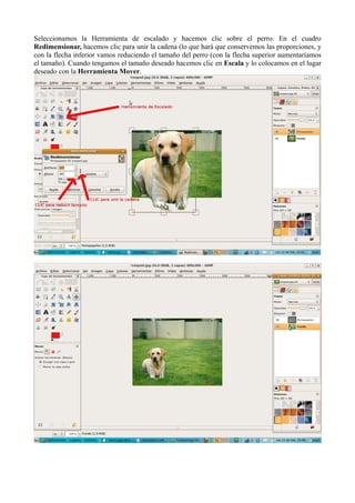 Seleccionamos la Herramienta de escalado y hacemos clic sobre el perro. En el cuadro
Redimensionar, hacemos clic para unir la cadena (lo que hará que conservemos las proporciones, y
con la flecha inferior vamos reduciendo el tamaño del perro (con la flecha superior aumentaríamos
el tamaño). Cuando tengamos el tamaño deseado hacemos clic en Escala y lo colocamos en el lugar
deseado con la Herramienta Mover.

 