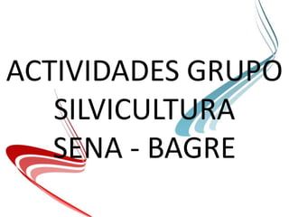 ACTIVIDADES GRUPO SILVICULTURA SENA - BAGRE 