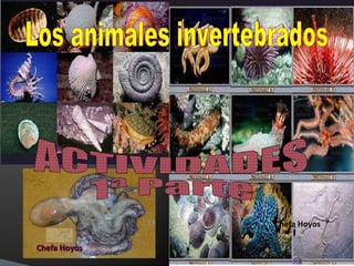 Los animales invertebrados ACTIVIDADES 1ª Parte Chefa Hoyos Chefa Hoyos 